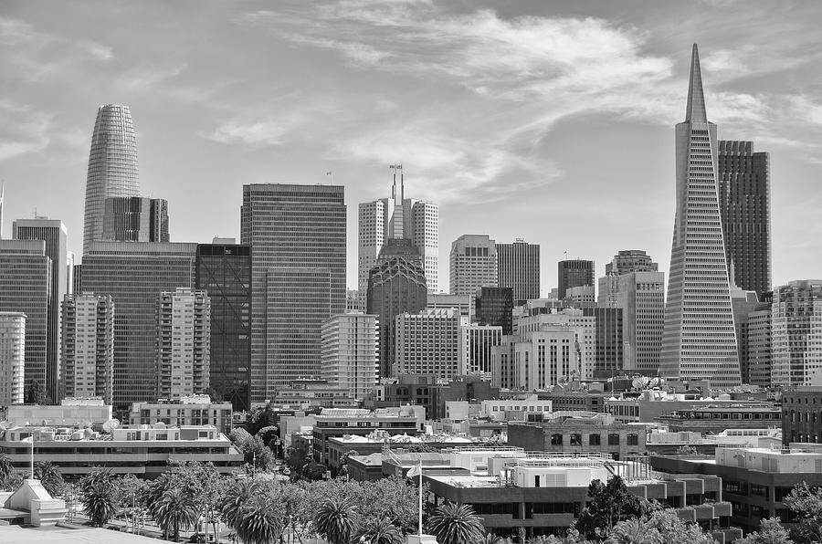 Dense Skyline of Downtown San Francisco Black and White Photograph by Shawn OBrien