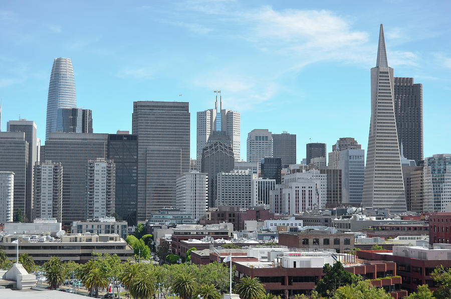 Dense Skyline of Downtown San Francisco Photograph by Shawn OBrien