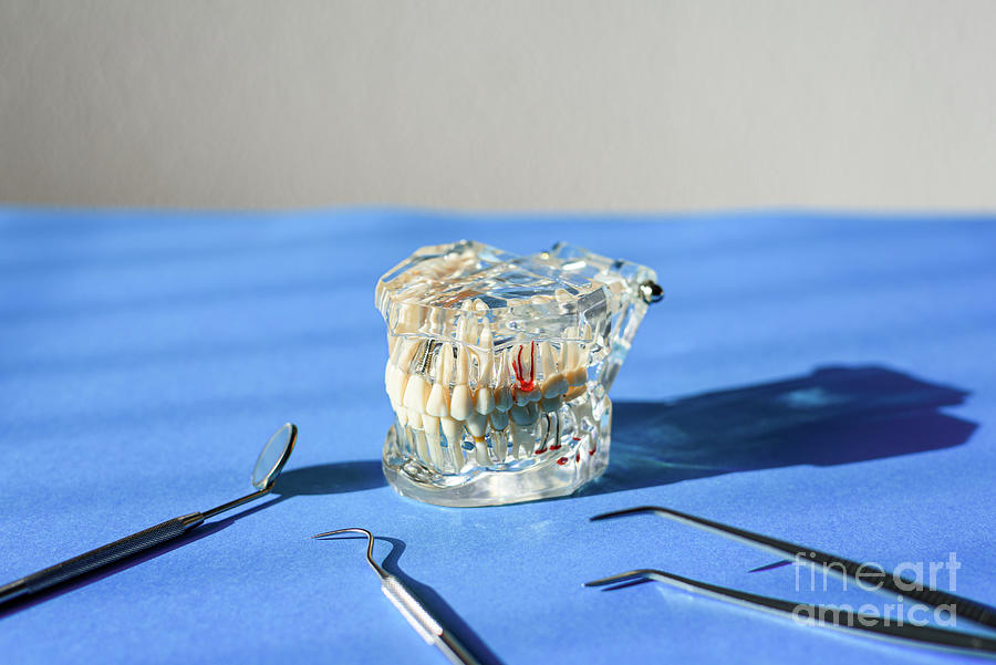 Dental Tools For Healing Dentures, Jaw Isolated On A Dentist Doc Photograph