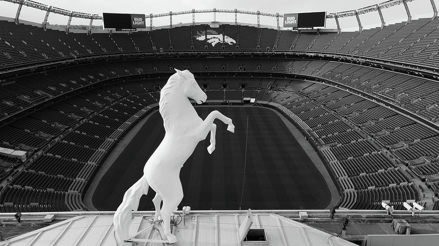 Denver Bronco overlooking Mile High Stadium in black and white Photograph by Eldon McGraw
