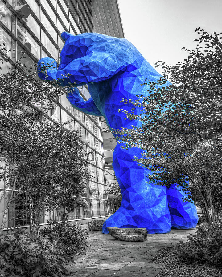 Denver Colorado Big Blue Bear Peeking in The Convention Center - Selective Coloring Photograph by Gregory Ballos
