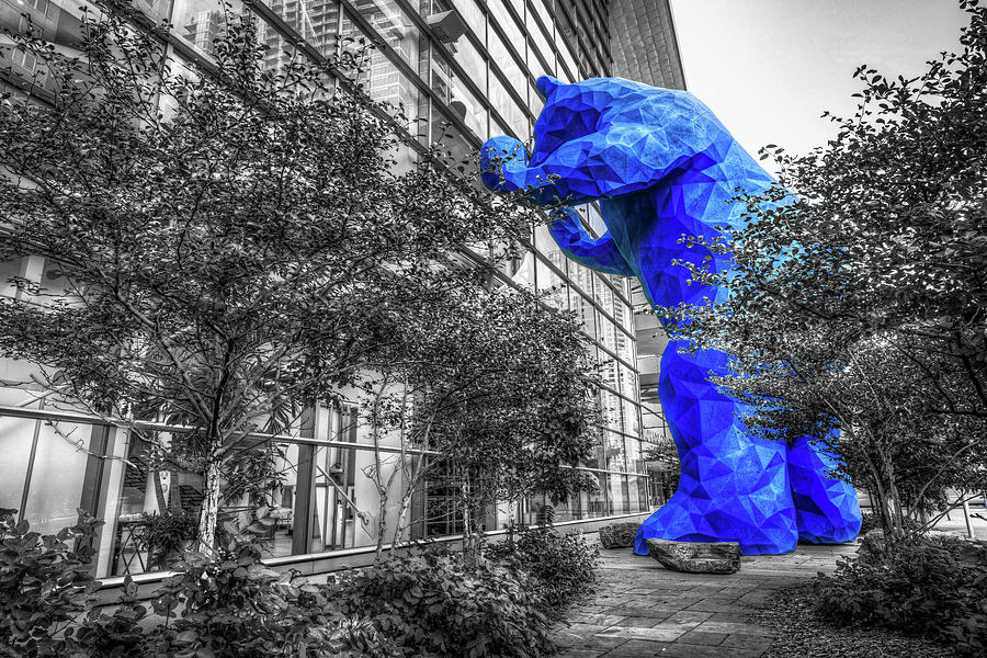 Selective Color Photograph - Denver Colorado Blue Bear - Selective Coloring by Gregory Ballos