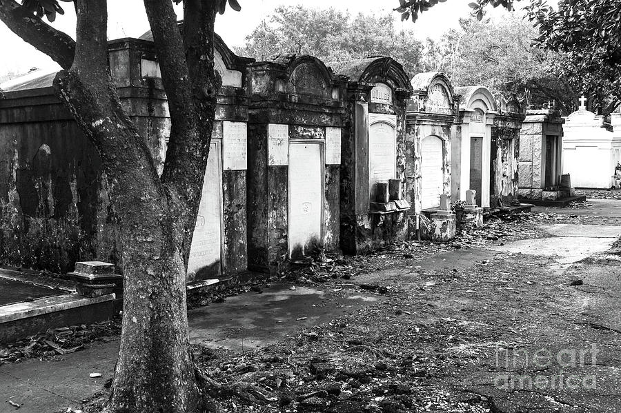 Departed all Lined Up Lafayette Cemetery No. 1 in New Orleans Photograph by John Rizzuto