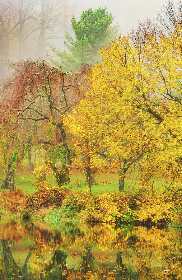 Departing Fog In Autumn by Gary Slawsky Departing Fog In Autumn by Gary Slawsky