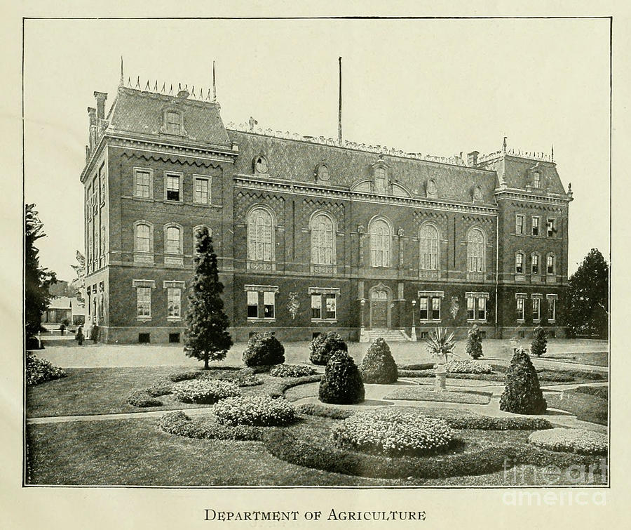 Department of Agriculture a2 Drawing by Historic Illustrations - Fine ...