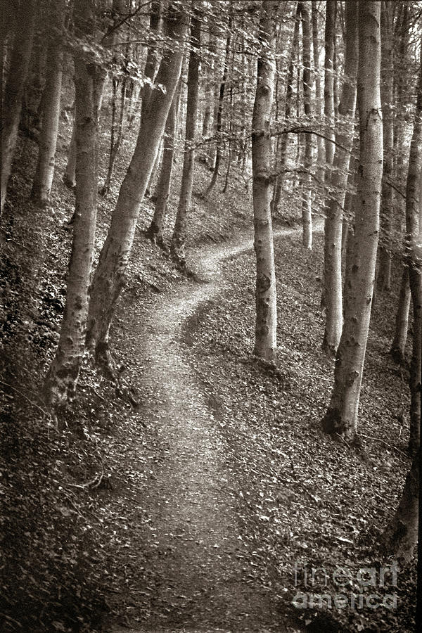 Der Weg Germany 1975 Photograph By Michael Ziegler Fine Art America