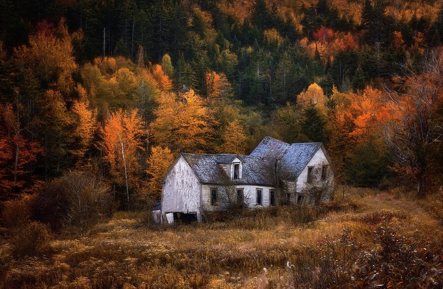 Derelict Autumn Photograph by Tracy Munson