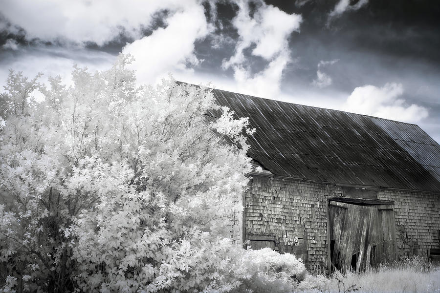 Derelict Barn Infrared Photograph by Tracy Munson