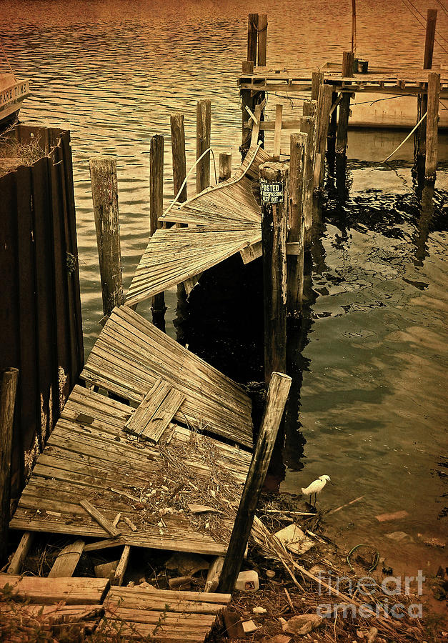 Derelict Dock Photograph by Ron Long