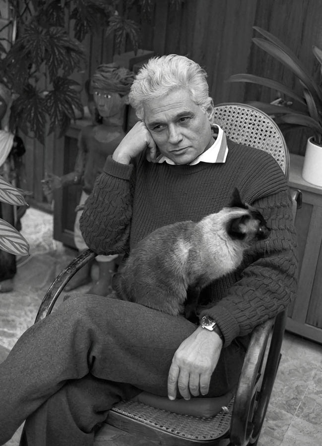 Derrida and a cat Poster gift Painting by Will Young - Fine Art America