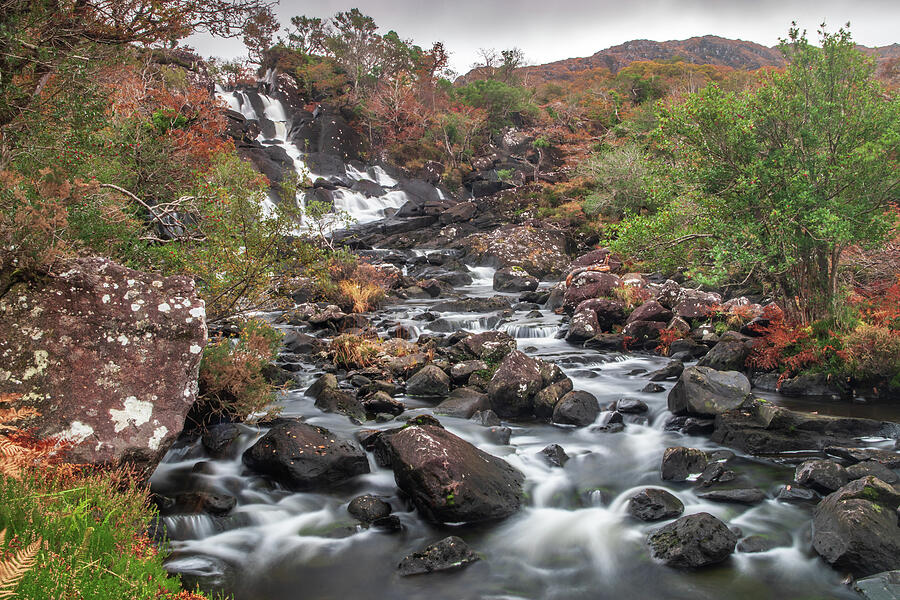 Derrycunnihy Cascade, Killarney, Co Kerry Photograph by Adrian Hendroff