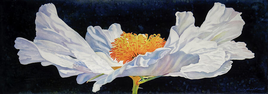 Poppy Painting - Dervish by Sandy Haight