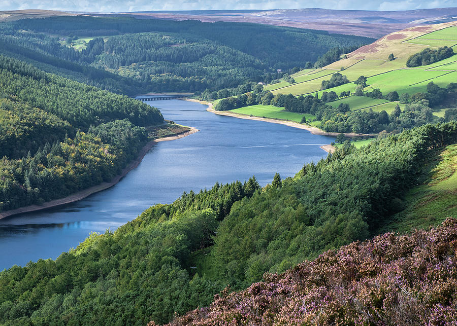 Derwent Reservoir Photograph by Tim Clark - Pixels