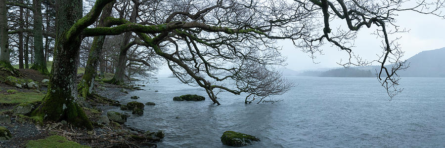 Derwentwater Shore Lake District 2 Photograph by Sonny Ryse