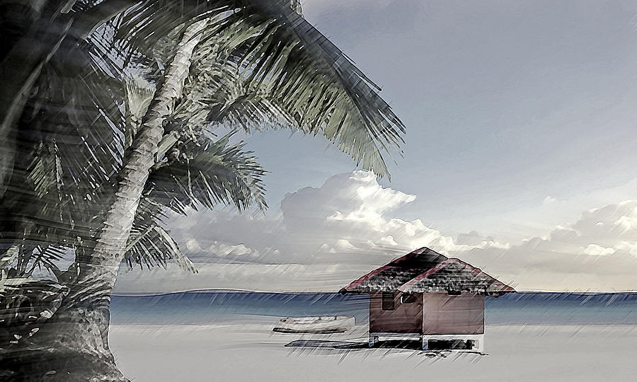 Desaturated Sandy Beach Cottage Digital Art by David Manlove