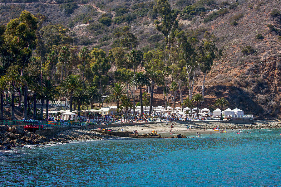 Paradise Photograph - Descanso Beach Club- Catalina by Art Block Collections
