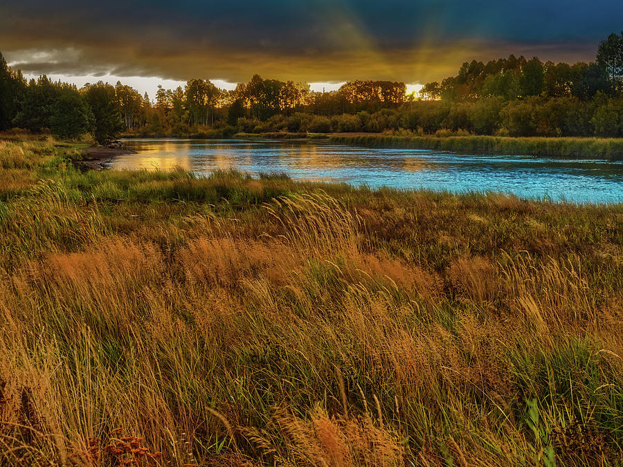 Tree Photograph - Deschutes River Sunrise by Thomas Hall