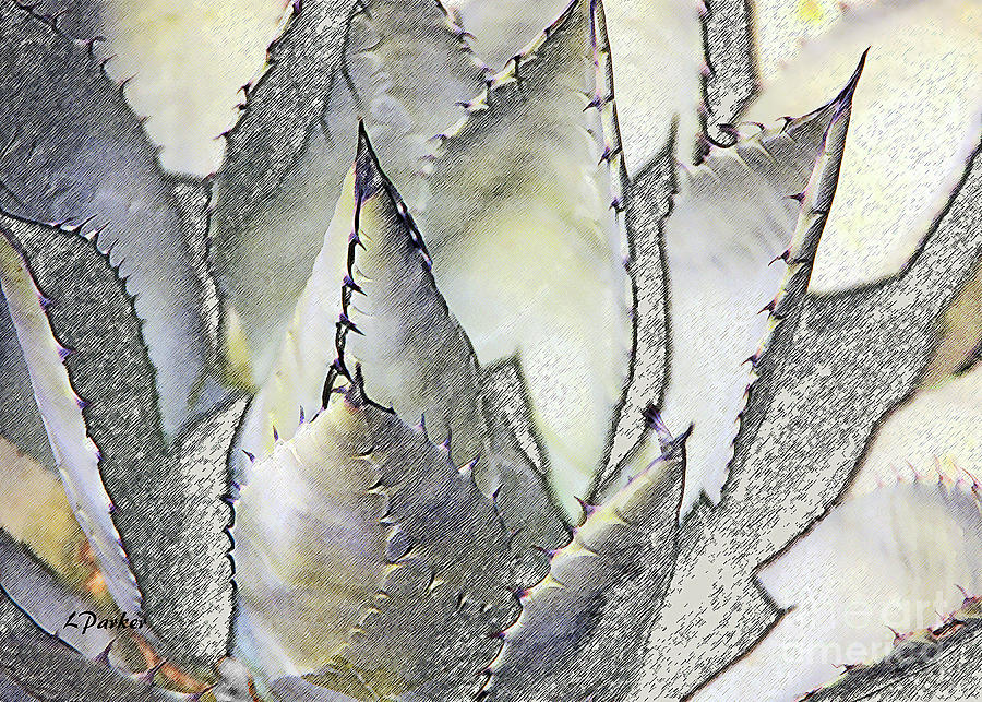 Abstract Photograph - Desert Agave by Linda Parker