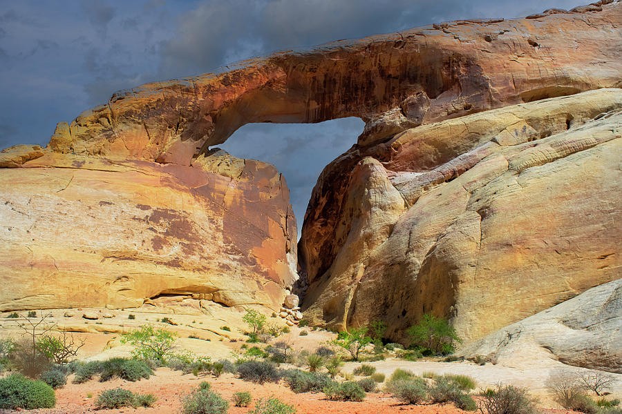 Desert Arch Photograph by Frank Wilson