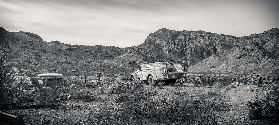 Desert art Photograph by Darrell Foster