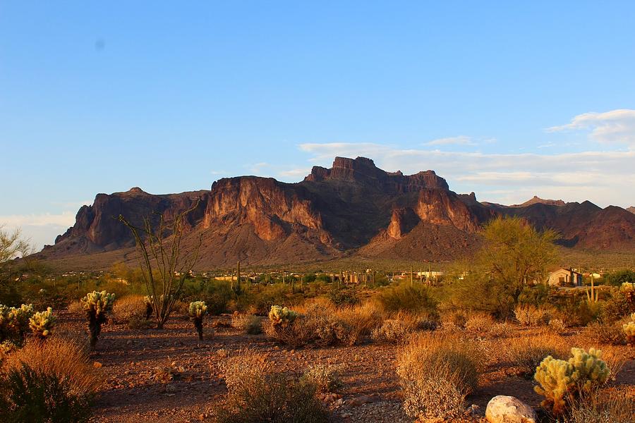 Desert at dusk Photograph by Scott Hankins | Fine Art America