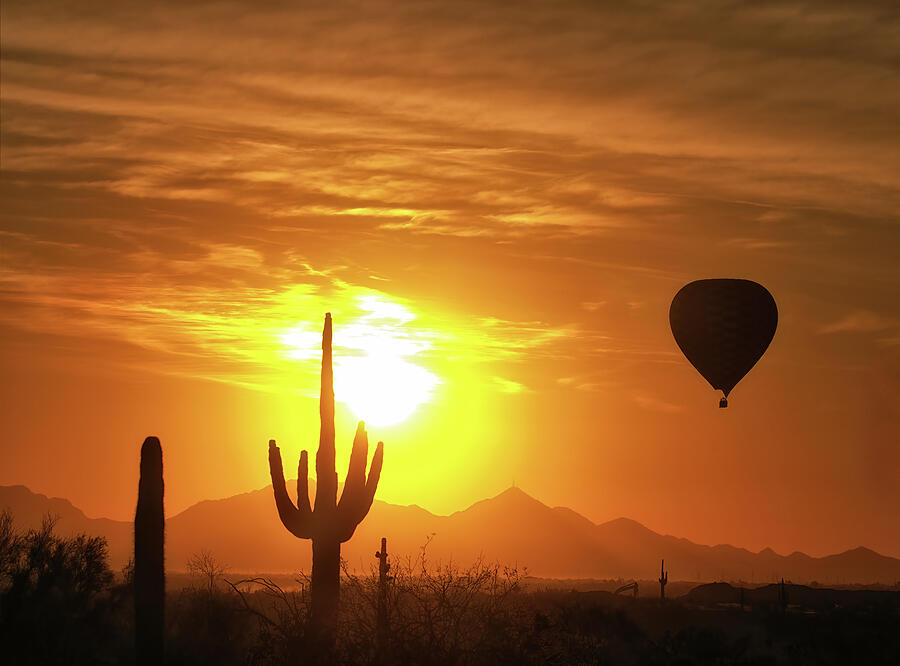 Desert Balloon Sunrise Photograph by Bob Falcone Desert Balloon Sunrise Photograph by Bob Falcone