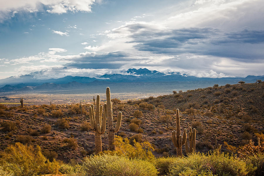 Desert Beauty Photograph by Thousand Word Images by Dustin Abbott