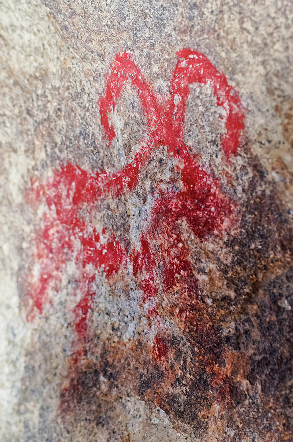 Desert Bighorn Sheep Petroglyph Portrait Photograph by Kyle Hanson