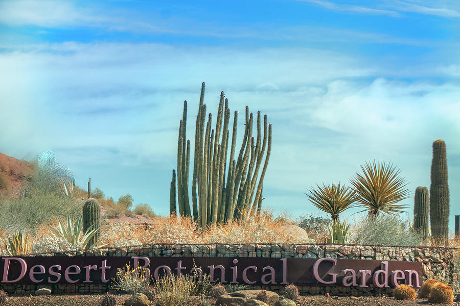 Desert Botanical Garden entrance with sign and cactus in Phoenix ...