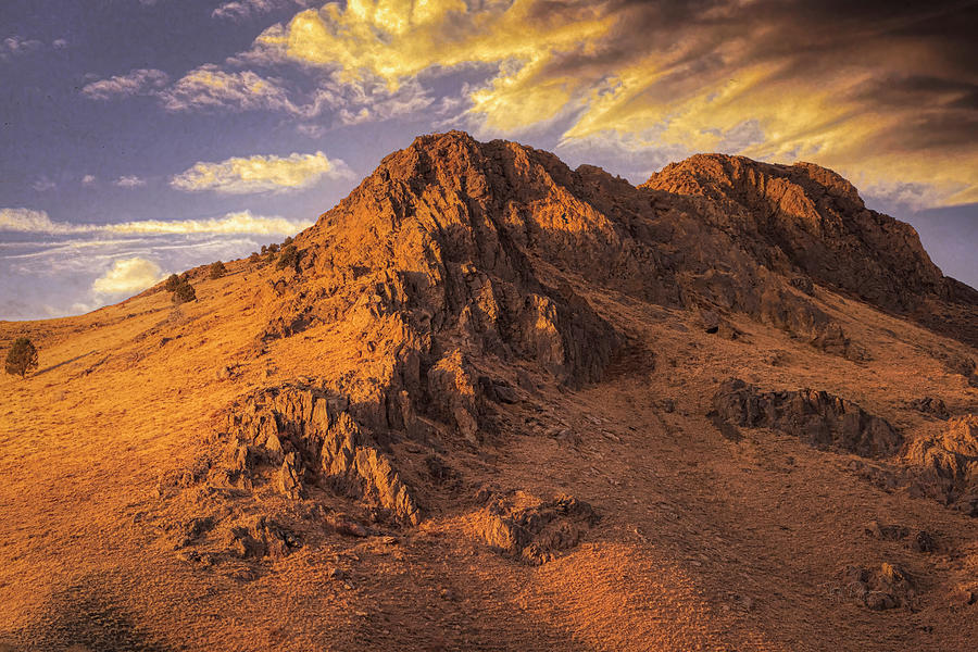 Desert Climb Photograph by Bill Posner