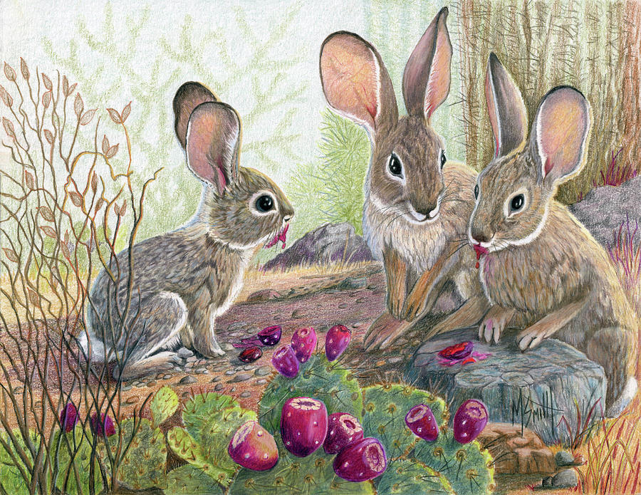 Desert Cottontails At Lunch Drawing by Marilyn Smith