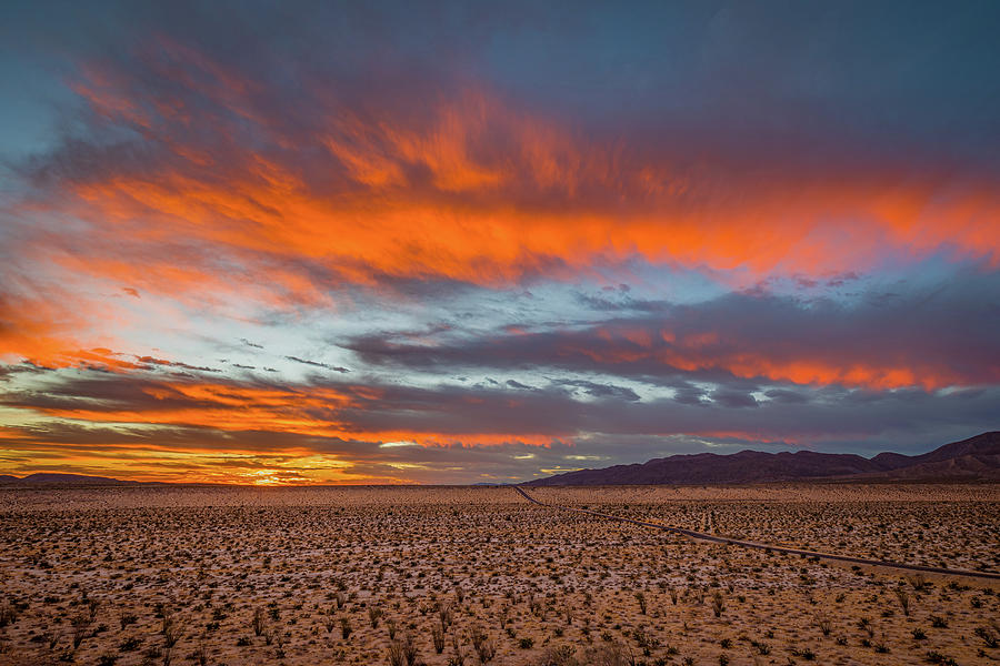 Desert Dawn Photograph by Peter Tellone