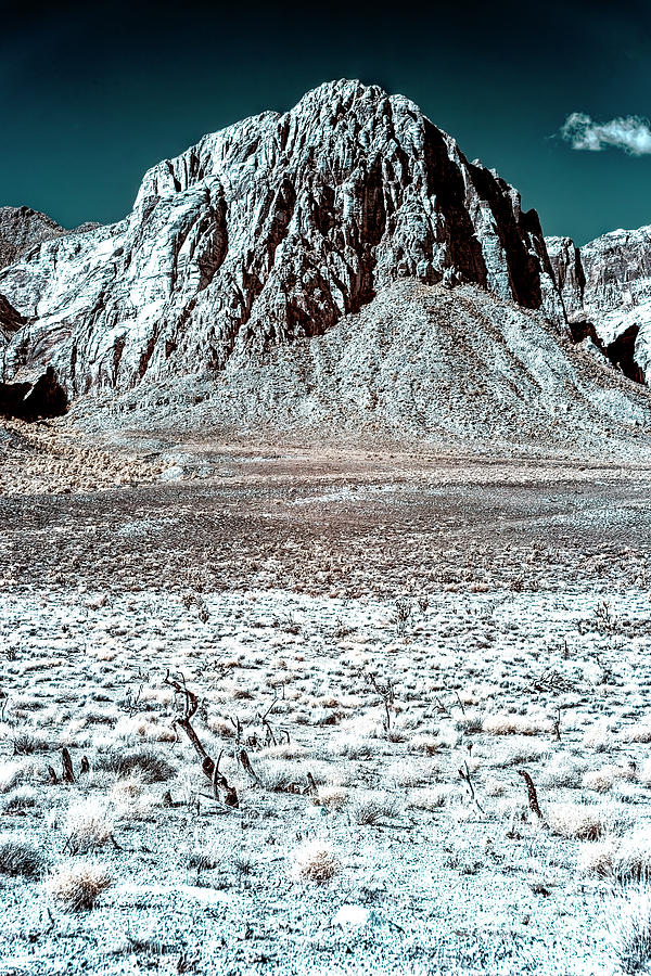 Desert Dimensions Infrared at Red Rock Canyon Photograph by John Rizzuto