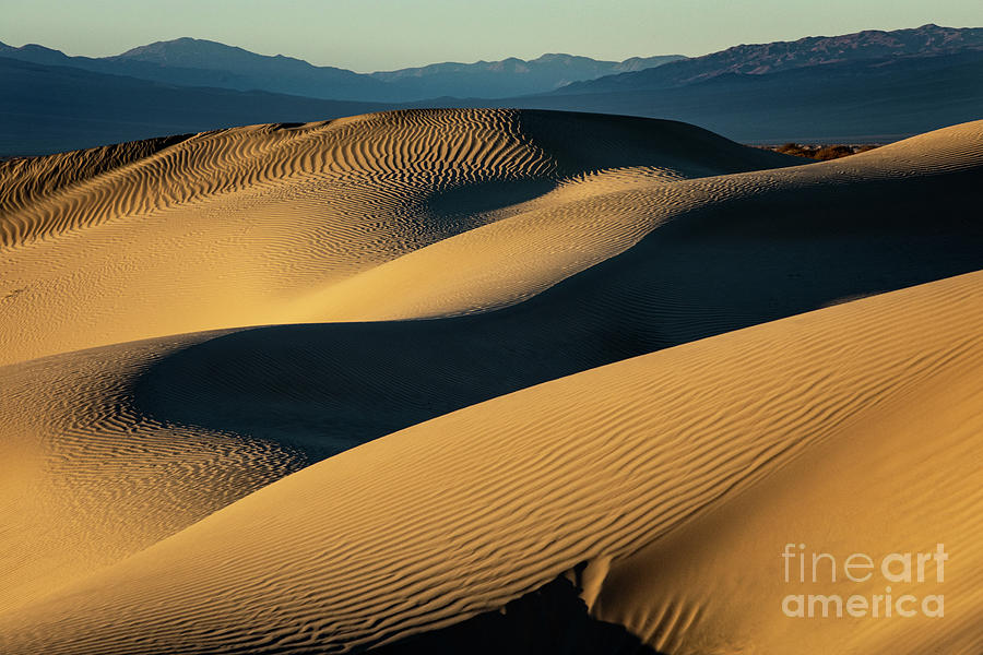 Desert Dunes Photograph by Erin Marie Davis