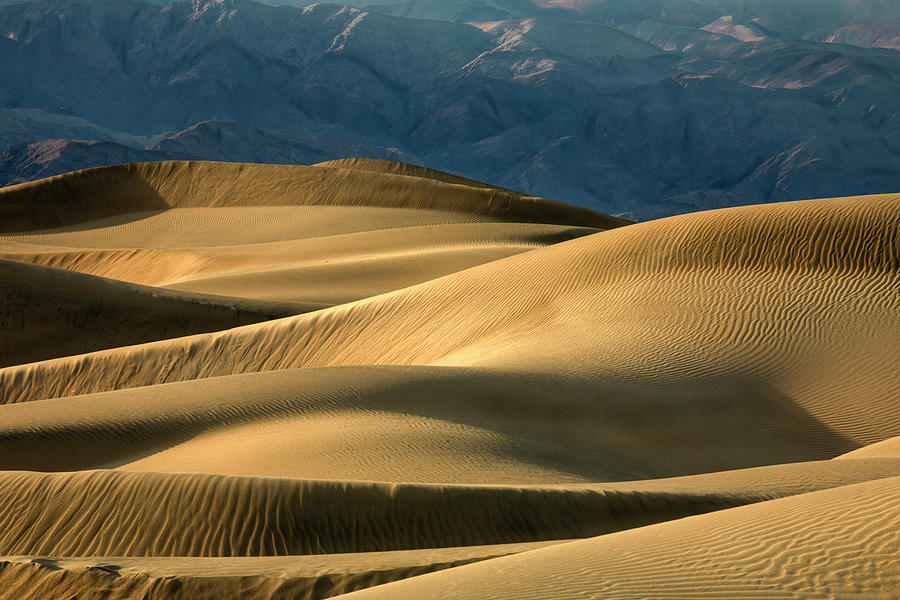 Desert Dunes Photograph by Lindley Johnson