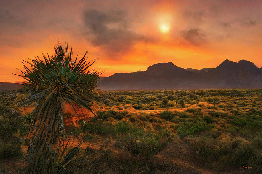 Desert Evening D Photograph by Frank Wilson