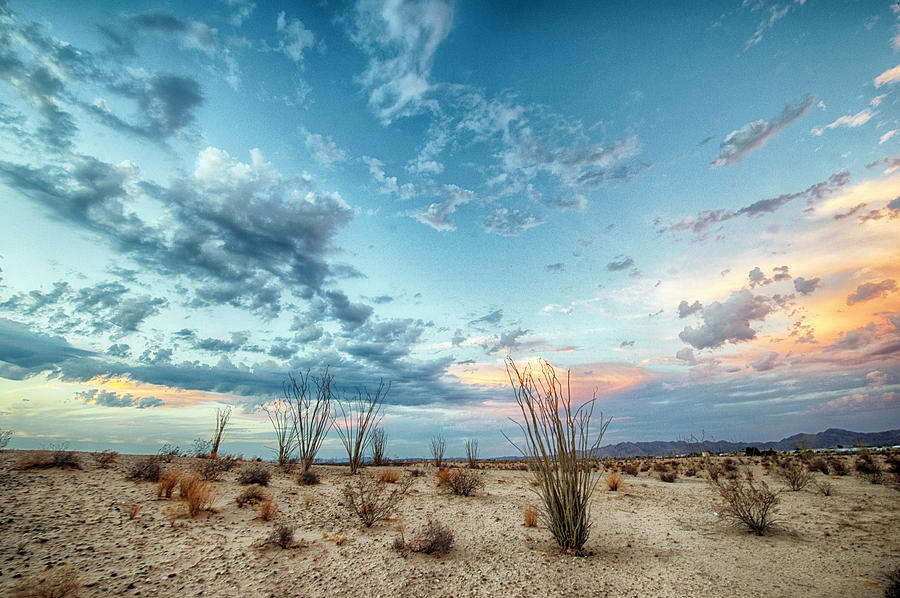 Desert Evening Photograph by Denise LeBleu