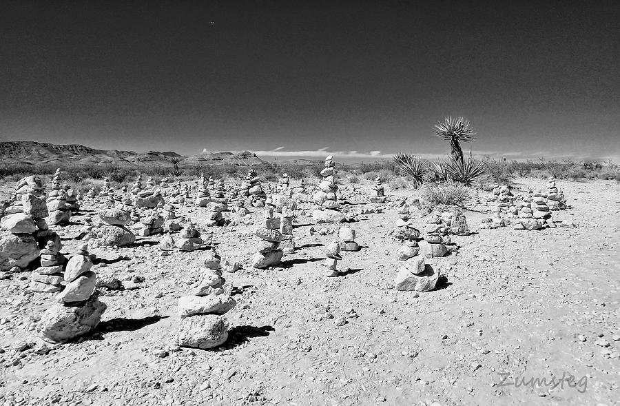 Desert Floor b/w Photograph by David Zumsteg Desert Floor b/w Photograph by David Zumsteg