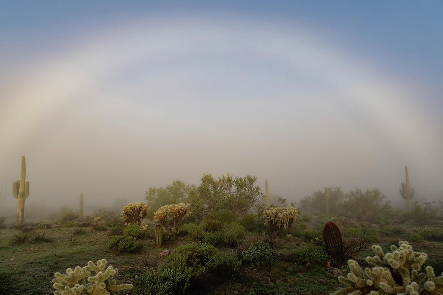 Desert fog arch Photograph by Mary Hone