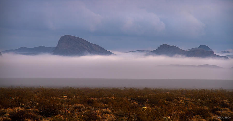 Desert Fog Photograph by Debby Richards