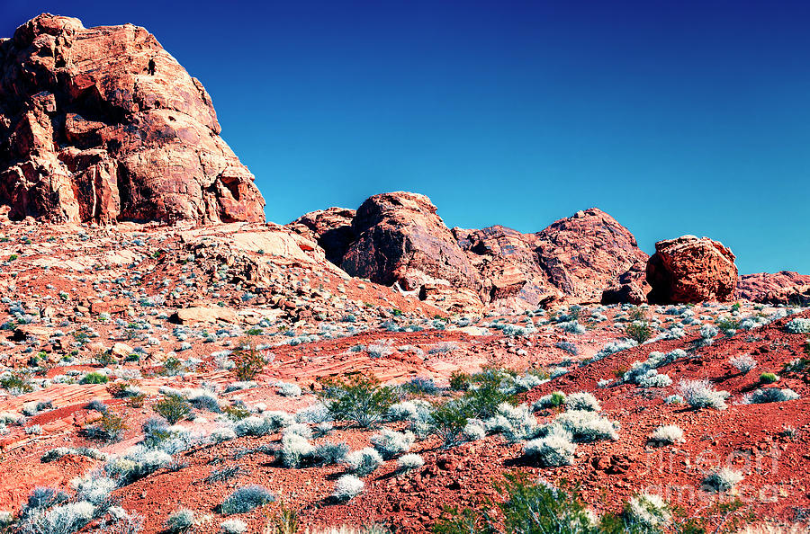 Desert Formation at the Valley of Fire Photograph by John Rizzuto