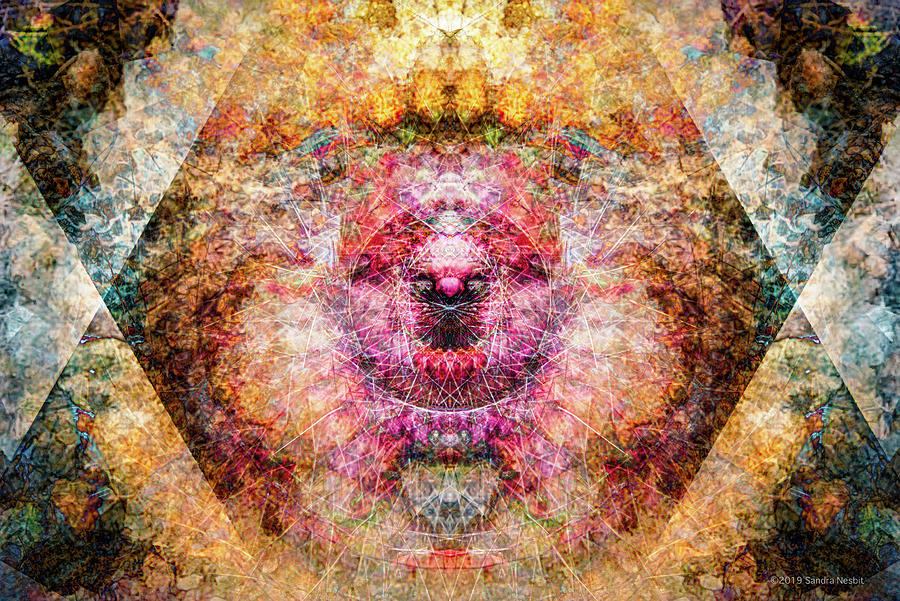 Desert Guardian Mandala Digital Art by Sandra Nesbit