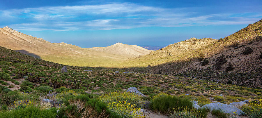 Desert Highlands Photograph by Grant Sorenson