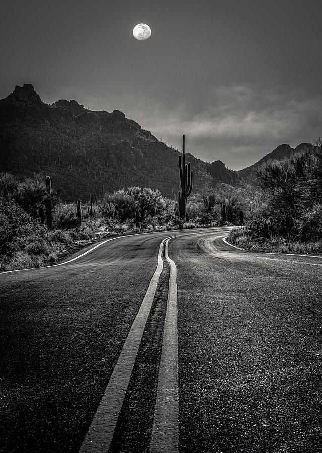 Desert Highway Photograph by Kevin Schwalbe