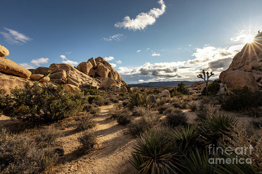 Desert Hiking Photograph by Erin Marie Davis