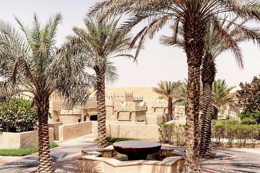 Desert Home - Among the Palm Trees Photograph by Philippe HUGONNARD