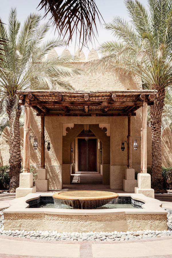Desert Home - Between Two Palm Trees Photograph by Philippe HUGONNARD