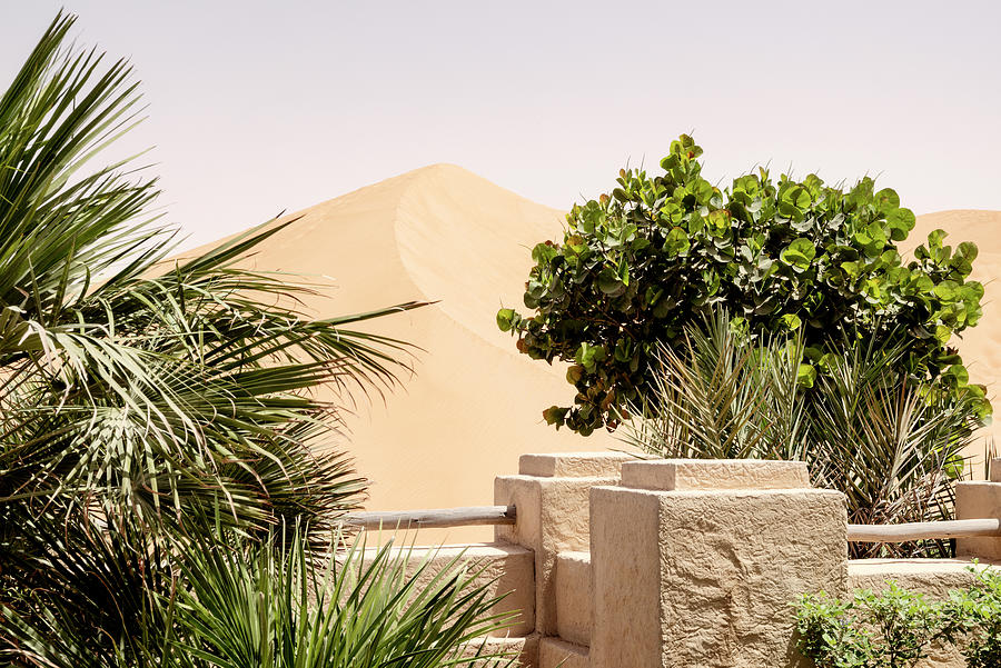 Desert Home - Oasis Dune Photograph by Philippe HUGONNARD