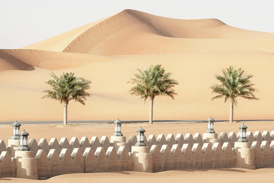 Desert Home - Three Palm Trees Photograph by Philippe HUGONNARD