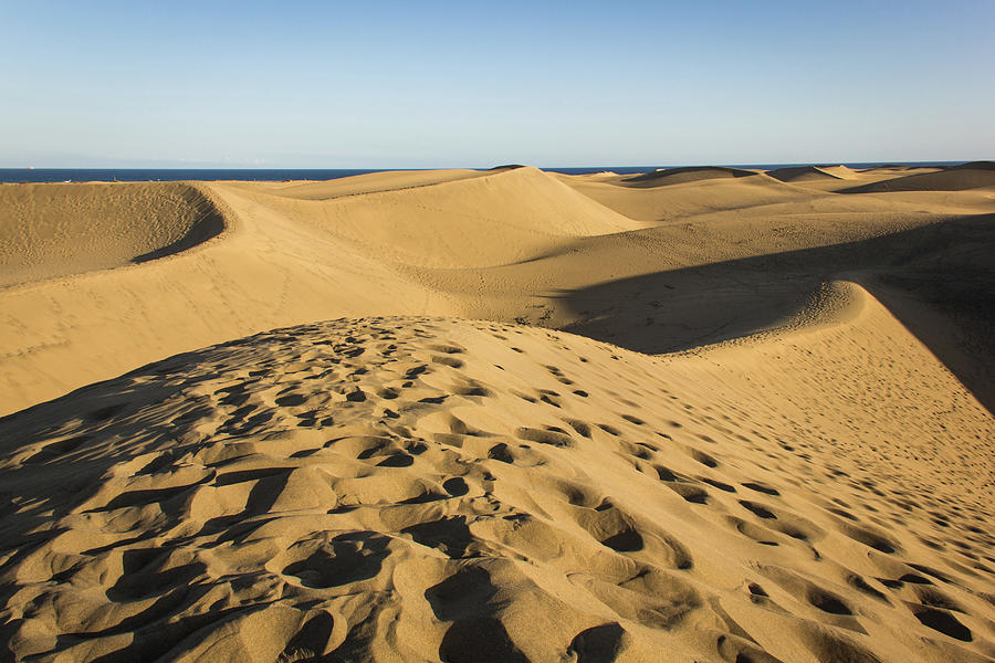 Desert Photograph by Josu Ozkaritz